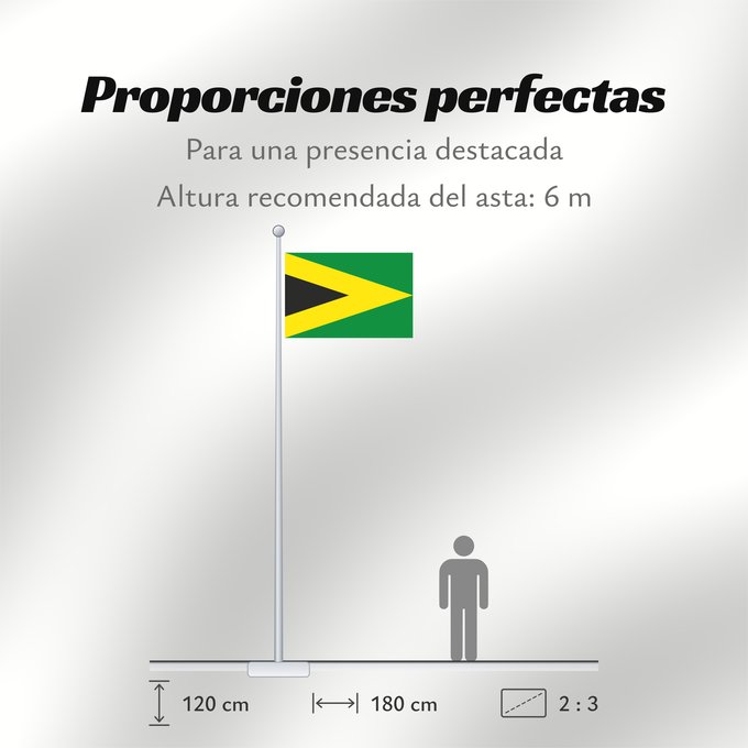 Proporciones de la bandera: Tibú Norte de Santander Tibú Municipio de Tibú Norte de Santander