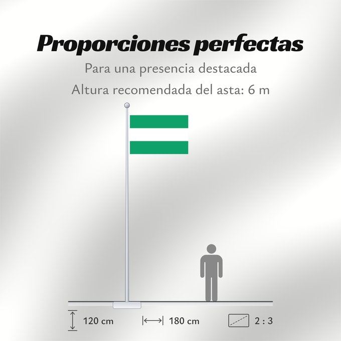 Proporciones de la bandera: Tunja