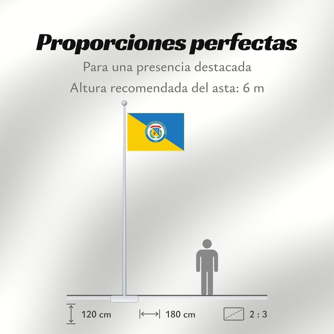 Proporciones de la bandera: Universidad Militar Nueva Granada