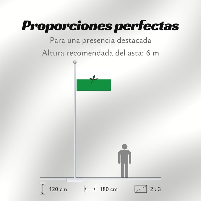 Proporciones de la bandera: Vaupés Vaupés, Colombia
