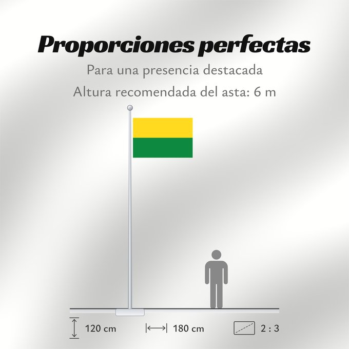 Proporciones de la bandera: Vichada Department	Vichada department, Colombia	Département de Vichada	Departamento de Vichada, Colombia	Vichada-Departement	Dipartimento di Vichada