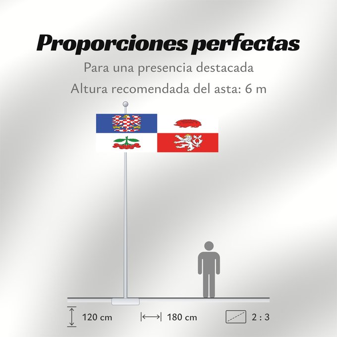 Proporciones de la bandera: Vysocina Region	Vysočina Region	Région de Vysočina	Región de Vysočina	Region Vysočina