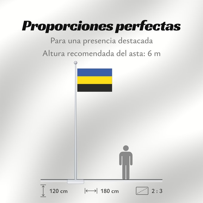 Proporciones de la bandera: Cecelice CZ