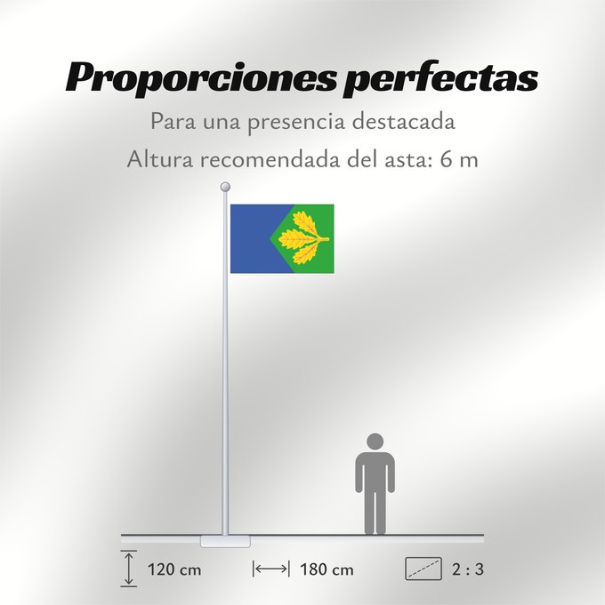 Proporciones de la bandera: Dubicne CZ