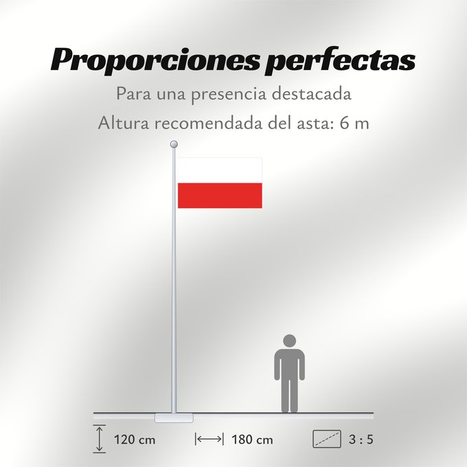 Proporciones de la bandera: Bad Dürrenberg