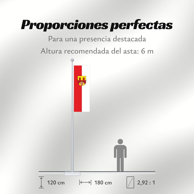 Proporciones de la bandera: Bielefeld