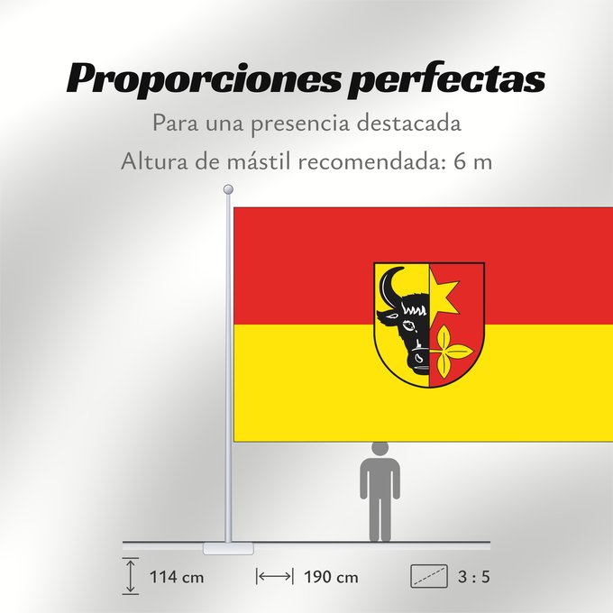 Proporciones de la bandera: Brueel	City of Brüel	Ville de Brüel	Brüel	Stadt Brüel