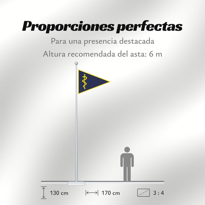 Proporciones de la bandera: Chef Sanitätskompanie 2004