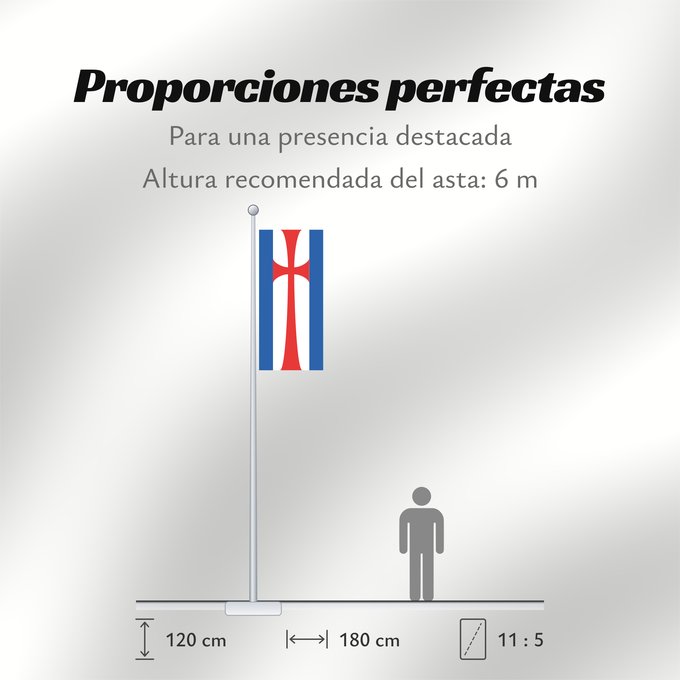 Proporciones de la bandera: Eisenach