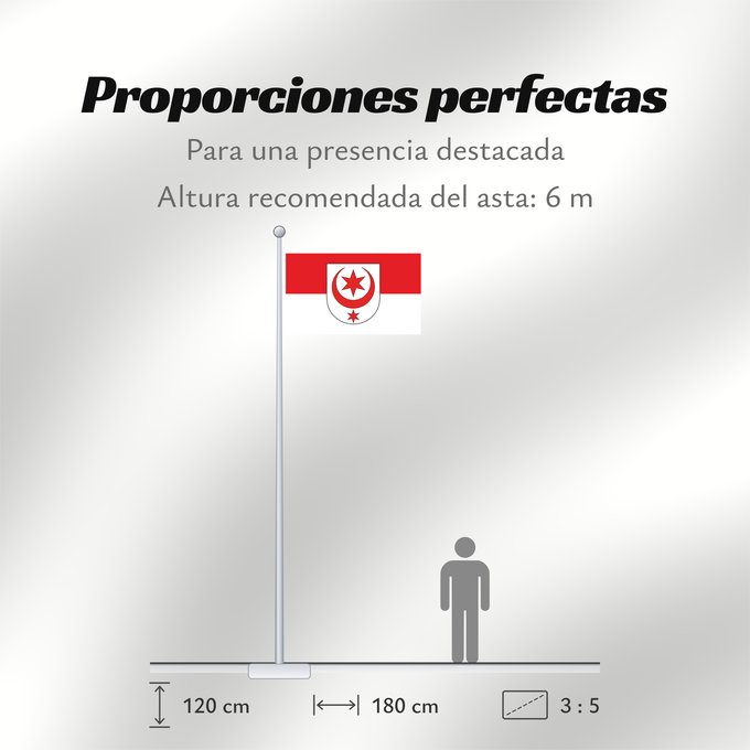 Proporciones de la bandera: Halle  Saale	City of Halle  Saale	Halle (Saale)	Stadt Halle  Saale