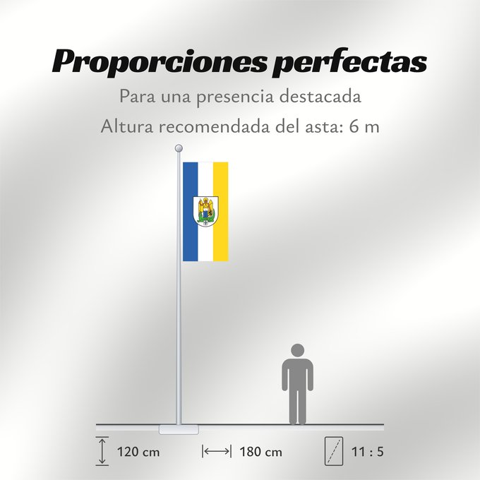 Proporciones de la bandera: Jena