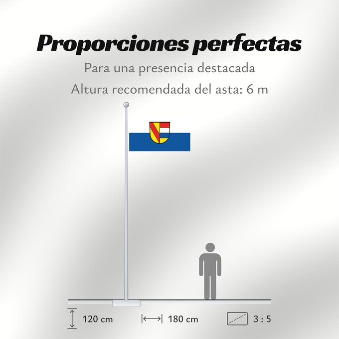 Proporciones de la bandera: Pforzheim Stadt Pforzheim