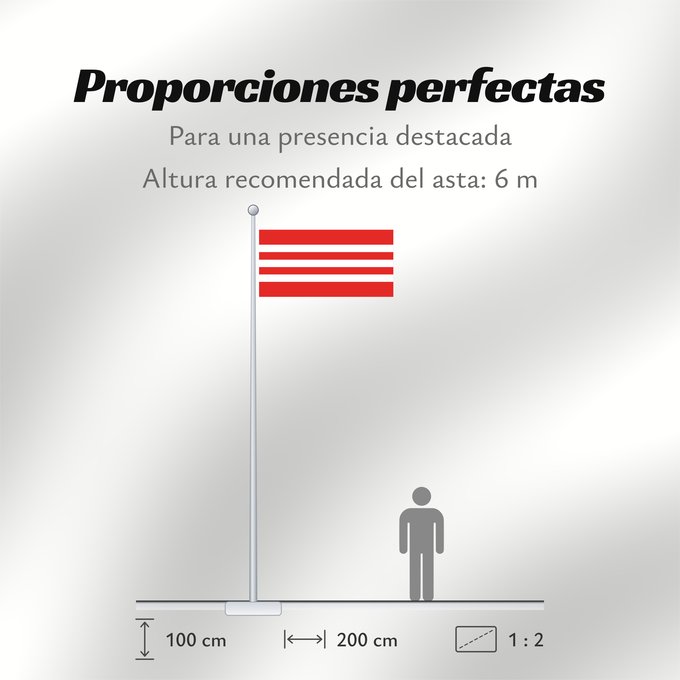 Proporciones de la bandera: Et-Tapa	Former Tapa urban municipality  until 2005	Tapa (ancienne municipalité jusqu'en 2005)	Tapa (antiguo municipio hasta 2005)	Tapa (ehemalige Gemeinde bis 2005)	Tapa (ex comune fino al 2005)