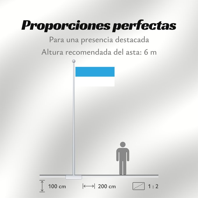 Proporciones de la bandera: Et-Viljandi	Viljandi