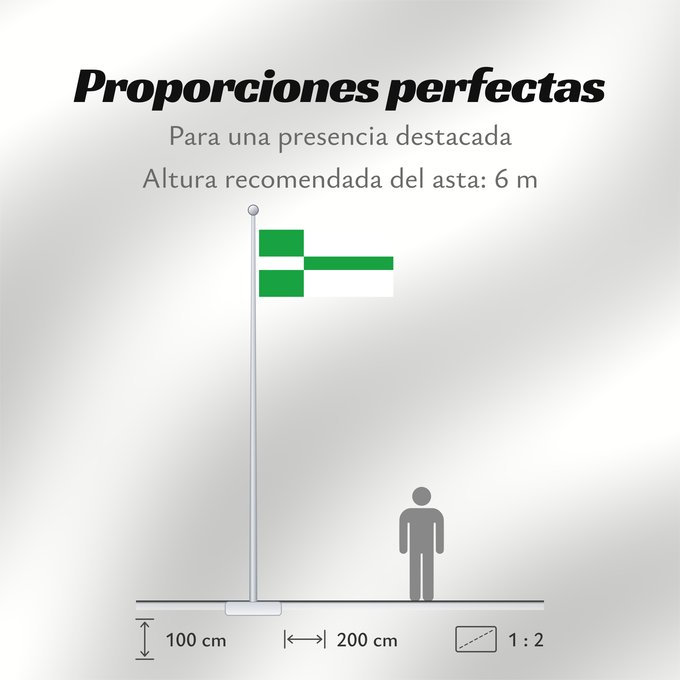 Proporciones de la bandera: Paide lipp	Paide	Paide town - Estonia. 2 1