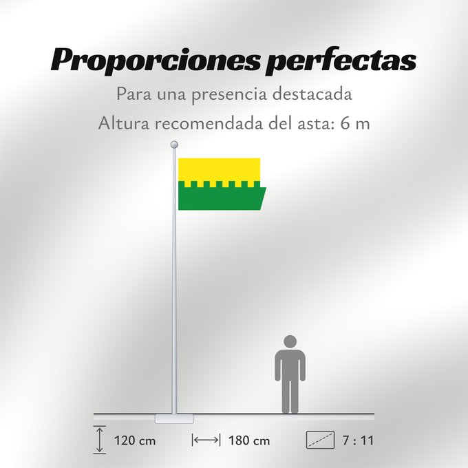 Proporciones de la bandera: Saue	Former Saue urban municipality  until 2017	Saue (ancienne municipalité)	Saue (antiguo municipio)	Saue (ehemalige Gemeinde)	Saue (ex comune)