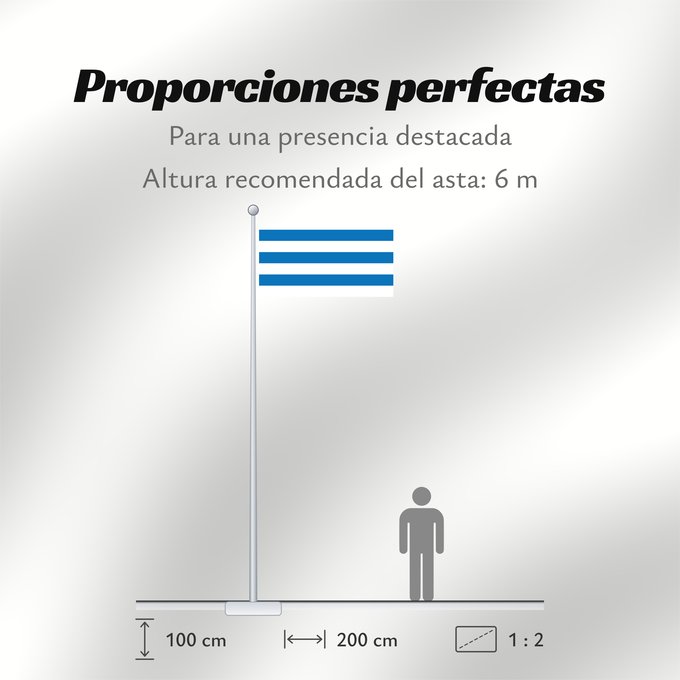Proporciones de la bandera: Tallinn	Tallinn, Estonia	Tallin	Stadt Tallinn  ehemaliges Reval , Estland	Tallinna lipp