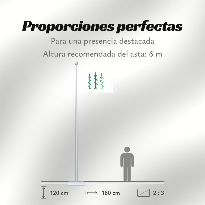 Proporciones de la bandera: D Alcanar	Alcanar