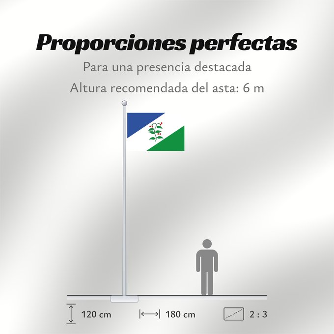 Proporciones de la bandera: D Arbúcies It is easy to put a border around this flag image Arbúcies Apaisada Apaïsada de proporcions dos dalt per tres de llarg