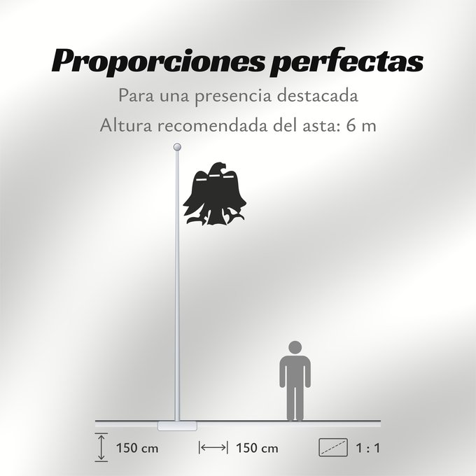 Proporciones de la bandera: Arrano Beltza