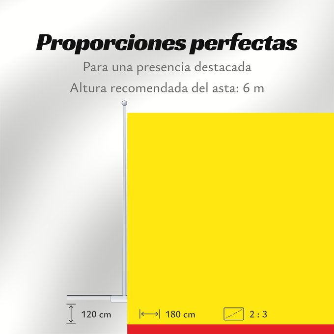Proporciones de la bandera: Campo de Cariñena