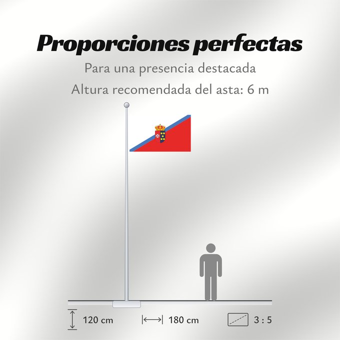 Proporciones de la bandera: Cerecinos de Campos Cerecinos de Campos Zamora, Spain Cerecinos de Campos Zamora, España