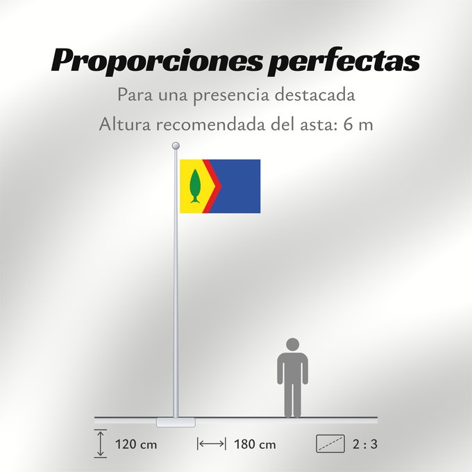 Proporciones de la bandera: Chiprana