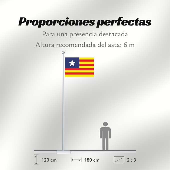 Proporciones de la bandera: Estado Aragonés	Aragonese State	État aragonais	Aragonischer Staat	Stato Aragonese