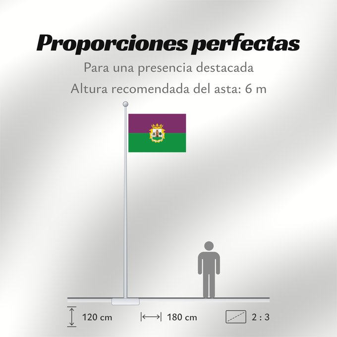 Proporciones de la bandera: Plasencia	Municipio de Plasencia  Cáceres-España