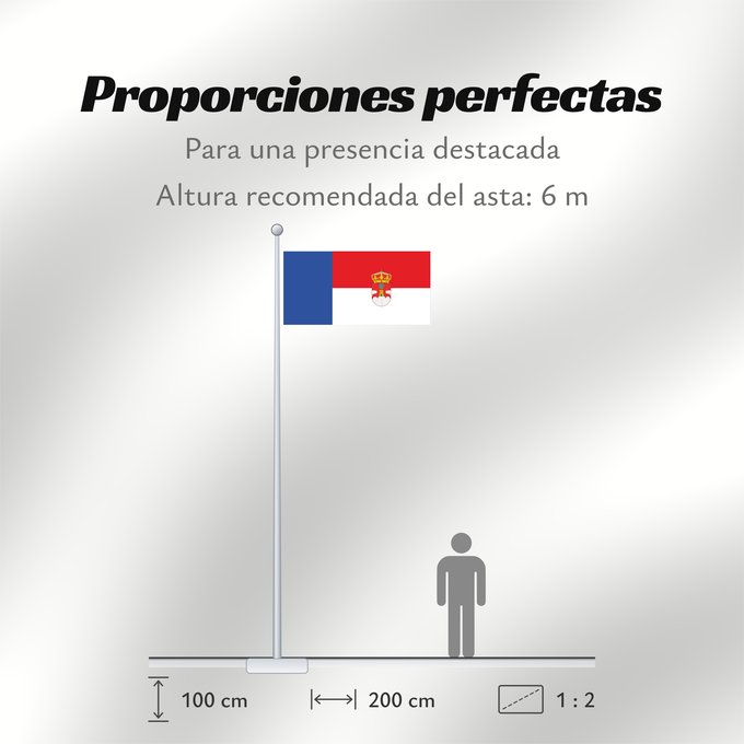 Proporciones de la bandera: Sotalbo	Municipal de Sotalbo  Ávila  «Bandera tercia al batiente doble