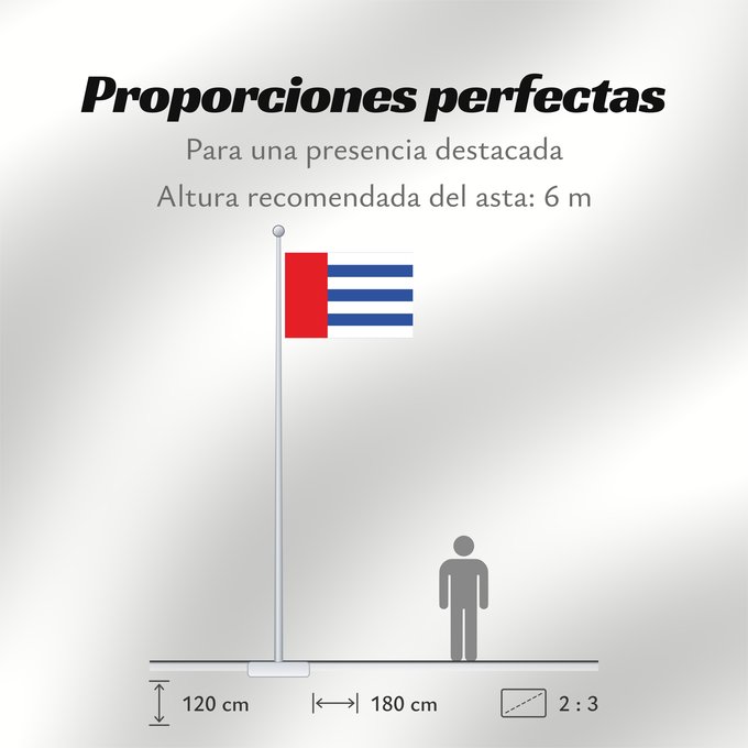 Proporciones de la bandera: Villaviudas, Spain	Villaviudas, in Palencia province, Spain	Villaviudas	Rectangular