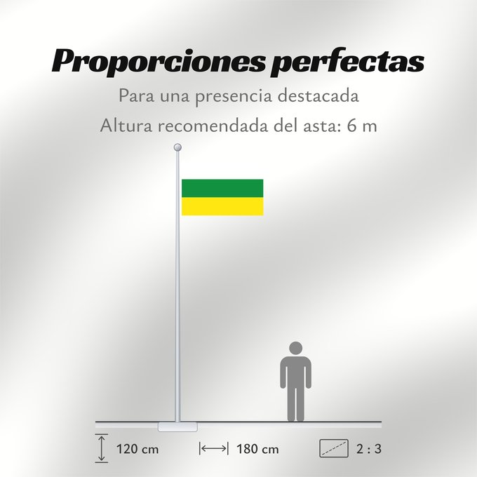 Proporciones de la bandera: Xerta