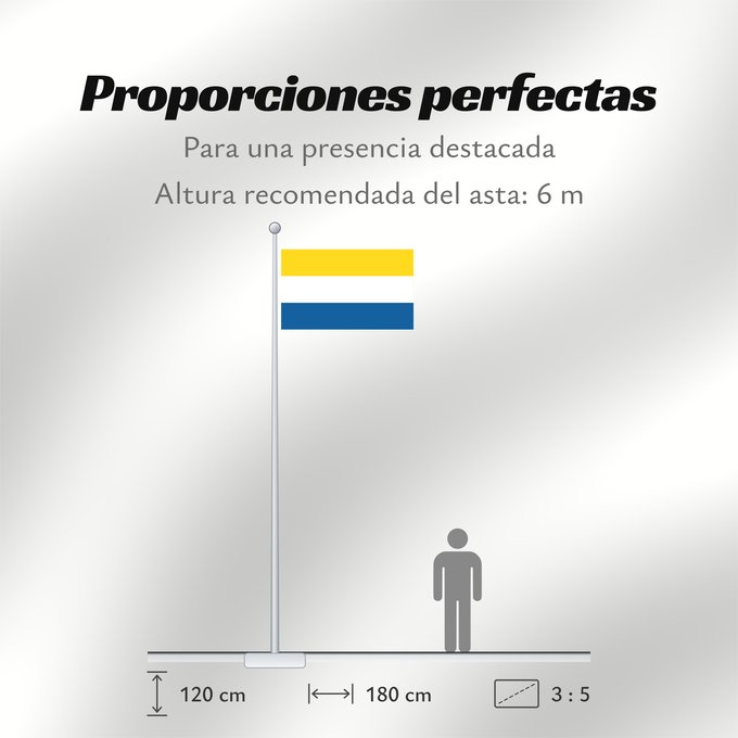 Proporciones de la bandera: Tornedalians  2007	Tornedalians (2007)	Tornédaliens (2007)	Tornedalianos (2007)	Tornedalen (2007)	Tornedaliani (2007)	The new flag of Tornedalians in official measures