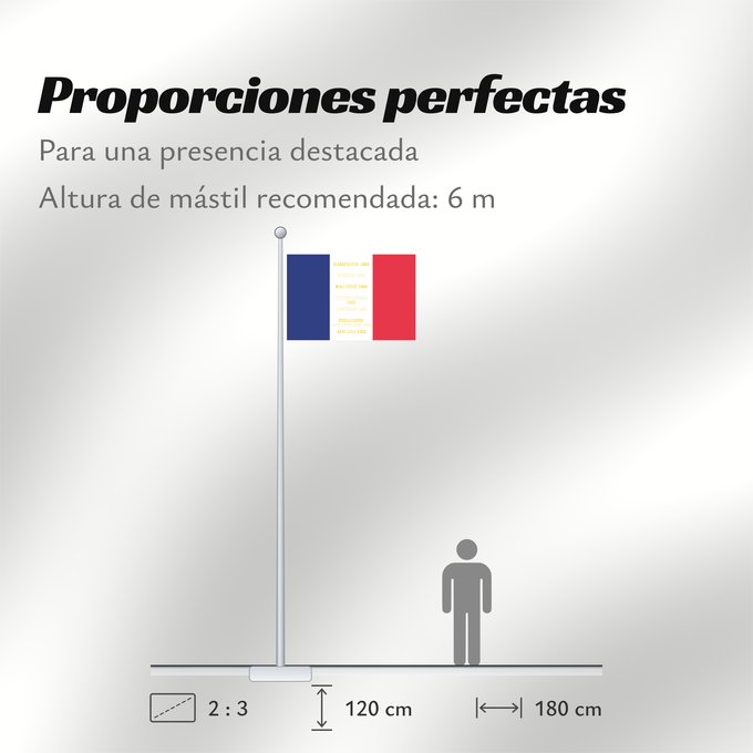 Proporciones de la bandera: 5e régiment étranger d infanterie-drapeau 5e régiment étranger d’infanterie de l armée française