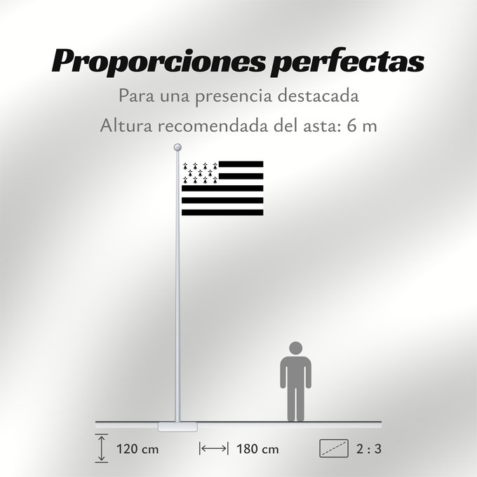 Proporciones de la bandera: Brittany	The Gwenn-ha-du, flag of Brittany	Le Gwenn-ha-du, drapeau de la Bretagne	Spaniel Bretón	Bretagna	Ar Gwenn-ha-du, banniel Breizh