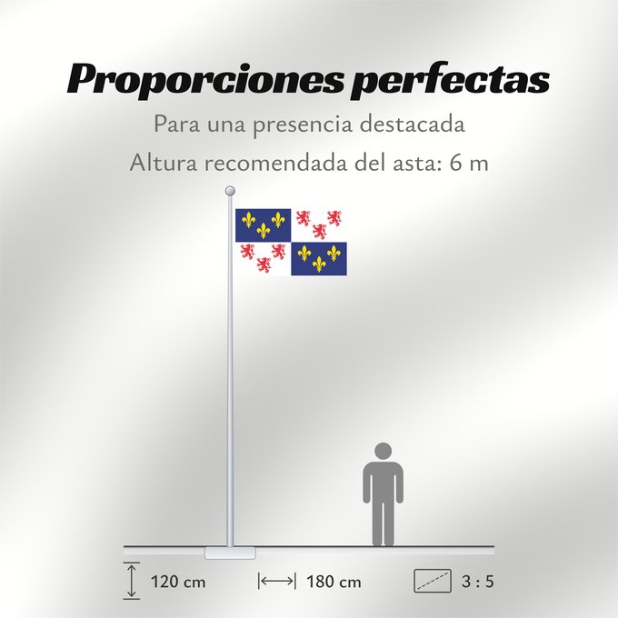 Proporciones de la bandera: Picardie	Region Picardie in France	Région Picardie en France	Picardo	Picard