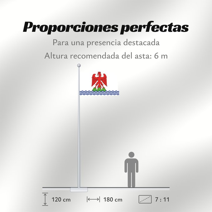 Proporciones de la bandera: County of Nice County of Nice in France Comté de Nice en France Condado de Niza Grafschaft Nizza Contea di Nizza