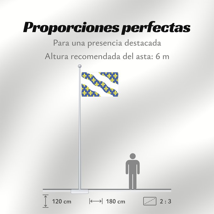 Proporciones de la bandera: Fr département Yvelines	Yvelines	Département des Yvelines	Banniel departamant an Yvelines	Evelinae	Drapèu Yvelines