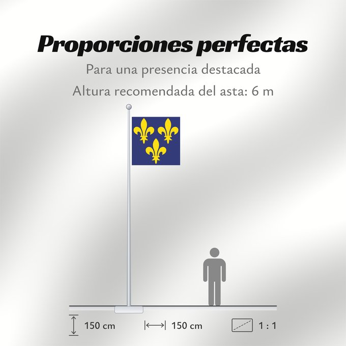 Proporciones de la bandera: France  XIV-XVI	France during the 14th through 16th centuries	France (XIVE-XVIE siècles)	Francia (siglos XIV-XVI)	Frankreich (14.-16. Jahrhundert)	Francia del XIV-XVI secolo