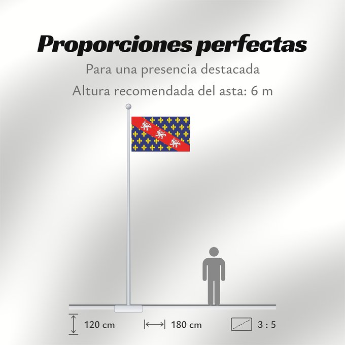 Proporciones de la bandera: Marche  province	Region Rhône-Alpes in France	Région Rhône-Alpes en France