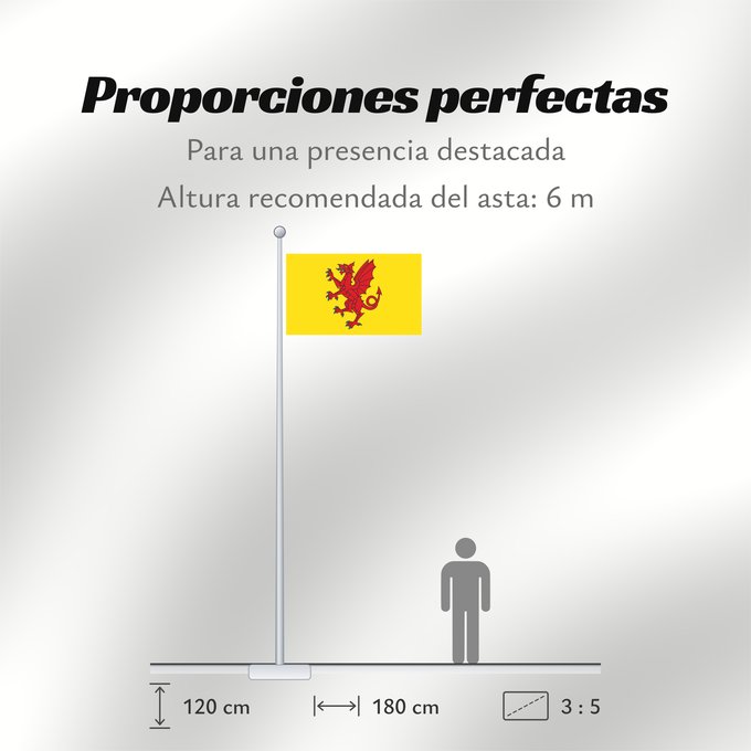 Proporciones de la bandera: Somerset