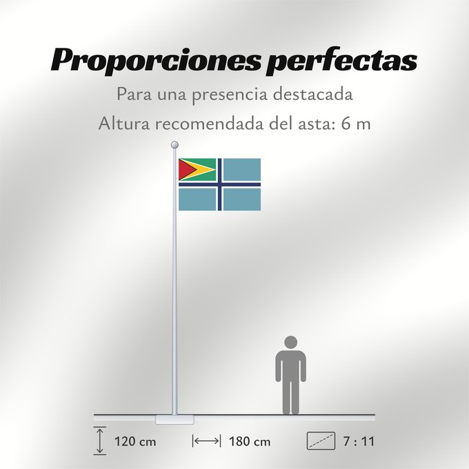 Proporciones de la bandera: Civil Air Ensign of Guyana