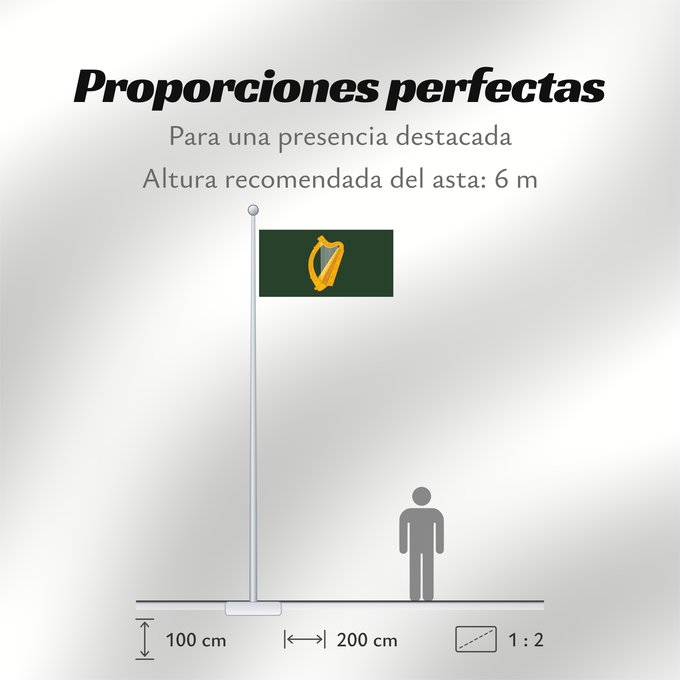 Proporciones de la bandera: Leinster	W Leinster