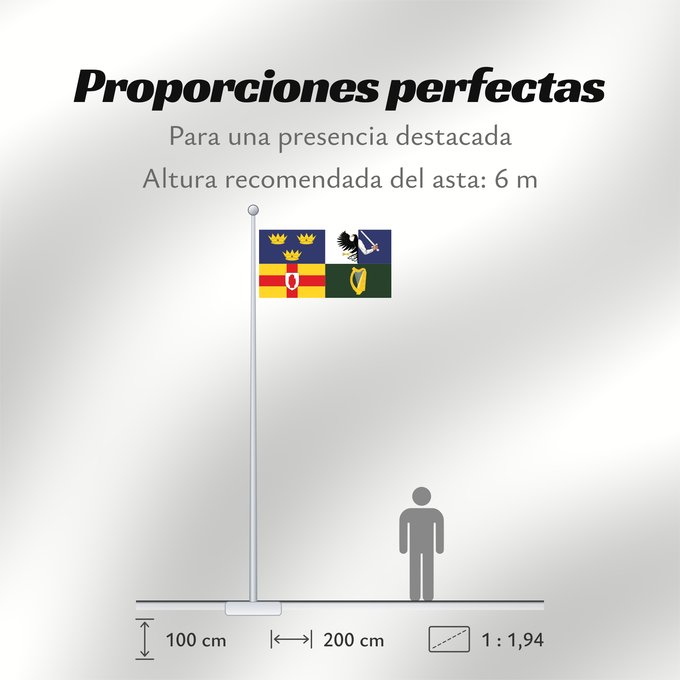 Proporciones de la bandera: Four Provinces	Four Provinces Flag	Drapeau des Quatre Provinces	Bandera de las Cuatro Provincias	Vierprovinzenflagge	Bandiera delle Quattro Province	Provinces of Ireland
