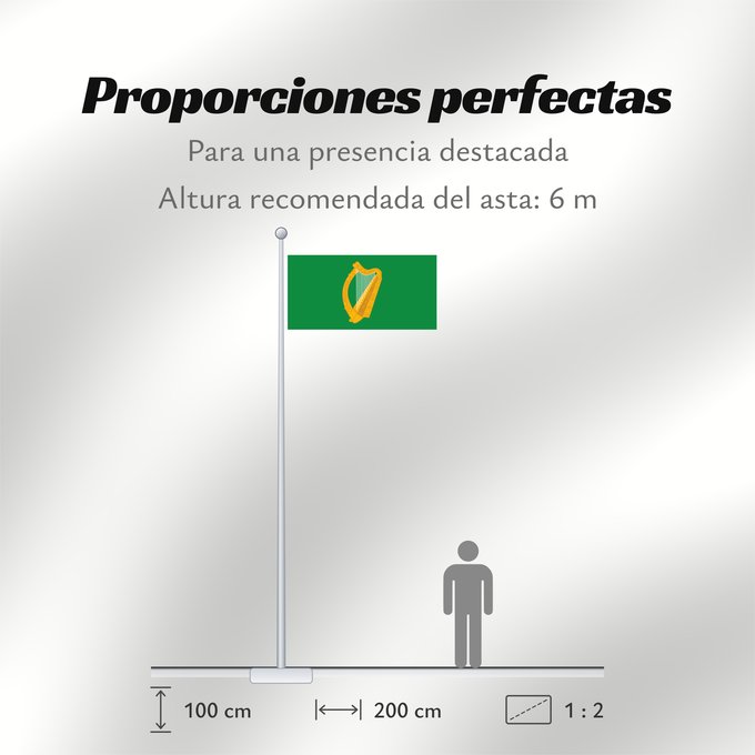 Proporciones de la bandera: Leinster  bright	Leinster (bright)	Leinster (lumineux)	Leinster (brillante)	Leinster (hell)	Leinster (luminoso)	W Leinster