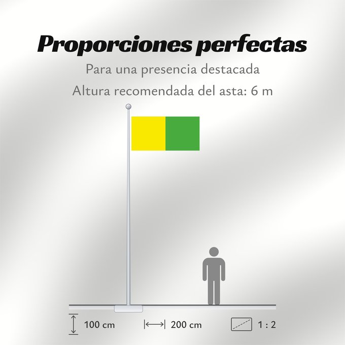 Proporciones de la bandera: County Leitrim Comté de Leitrim Condado de Leitrim Contea di Leitrim