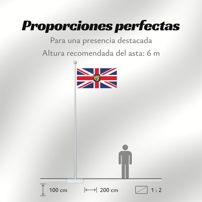 Proporciones de la bandera: Lord Lieutenant of Ireland Lord Lieutenant d'Irlande Lord Teniente de Irlanda Lord Lieutenant von Irland Lord Luogotenente d'Irlanda