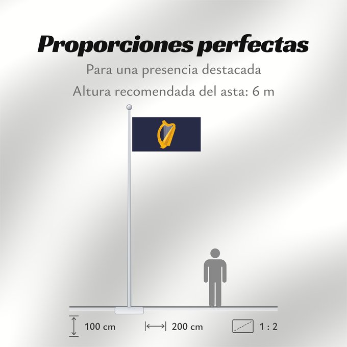 Proporciones de la bandera: President of Ireland Presidential Flag of Ireland with alternate official state harp design Étendard présidentiel d'Irlande (motif de harpe alternatif) Estandarte Presidencial de Irlanda (diseño alternativo de arpa) Präsidentenstandarte von Irland (abweic