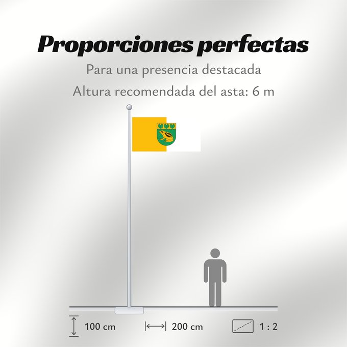 Proporciones de la bandera: Baloži	City of Baloži, Latvia	Baložu pilsētas