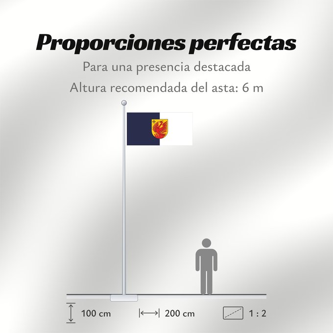 Proporciones de la bandera: Dagda